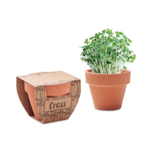 CRESS POT terrakota pott rukolaseemnetega