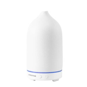 Prixton Zen humidifier