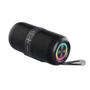 Prixton Hit Box 30W speaker