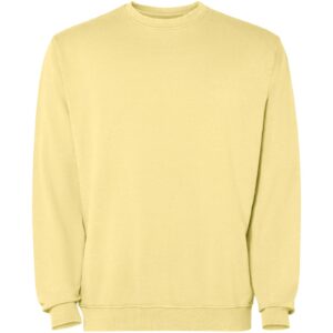 Jaya 250 g/m² unisex crewneck sweater